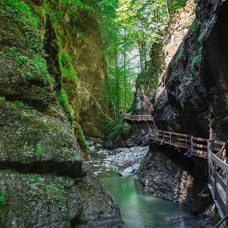 Apartament Charmantes Studio Im Zentrum