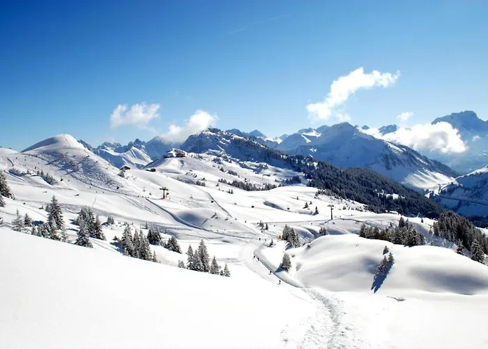 Apartment Charmantes Studio Im Zentrum Dornbirn
